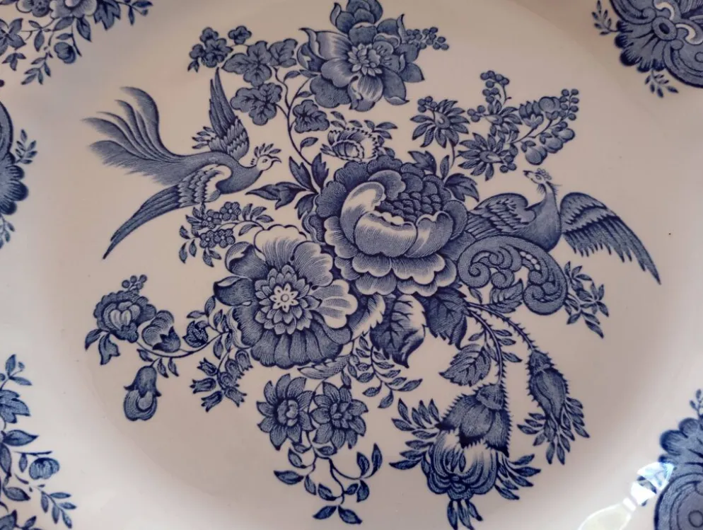 Assiettes plates anglaises Ridgway 'Windsor' bleu & blanc