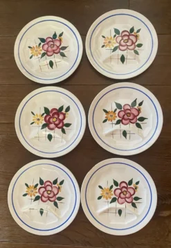 6 assiettes plates à compartiments Digoin Sarreguemines