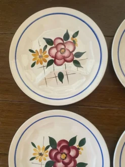 6 assiettes plates à compartiments Digoin Sarreguemines