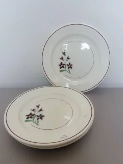 4 assiettes plates des Salins 210656