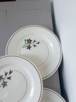 4 assiettes plates des Salins 210656