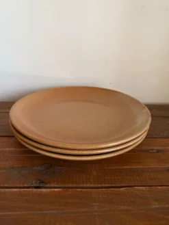 3 assiettes plates en grès