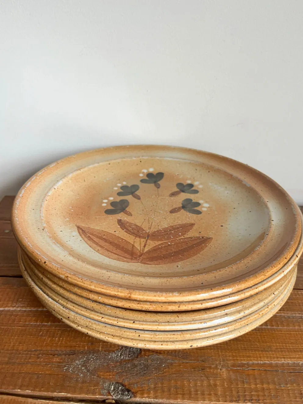 6 assiettes plates en grès