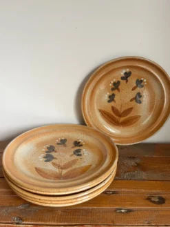6 assiettes plates en grès