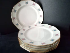 6 Assiettes plates en Porcelaine de Limoges