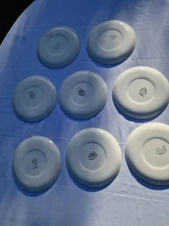 8 assiettes plates modèle Pastorale manufacture Salins