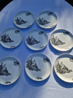 8 assiettes plates modèle Pastorale manufacture Salins