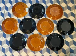 10 assiettes plates Robert Picault poisson