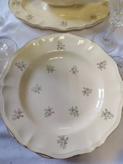 12 assiettes plates Sarreguemines modèle Raphaël ou fleurs de France