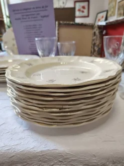 12 assiettes plates Sarreguemines modèle Raphaël ou fleurs de France