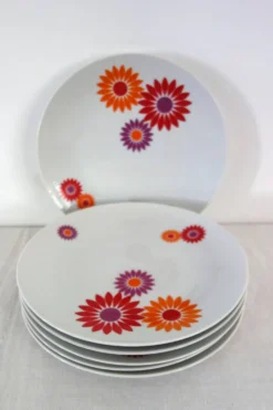 6 Assiettes Plates Seltmann Weiden West Germany 70's