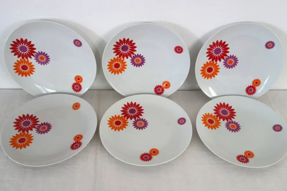 6 Assiettes Plates Seltmann Weiden West Germany 70's