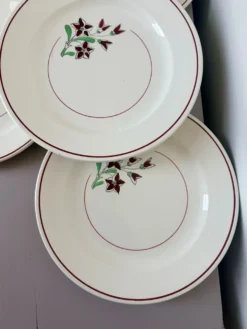 4 assiettes plates vintage de la manufacture de Salins 210636