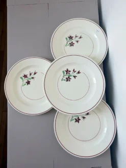 4 assiettes plates vintage de la manufacture de Salins 210636
