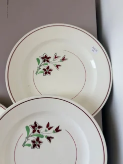 4 assiettes plates vintage de la manufacture de Salins 210636