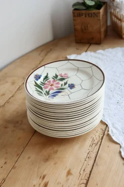 6 assiettes plates vintage faïence Saint-Amand modèle Maurice – Décor flora