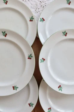 6 assiettes plates vintage porcelaine Table et Couleurs modèle Framboises