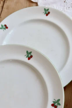 6 assiettes plates vintage porcelaine Table et Couleurs modèle Framboises