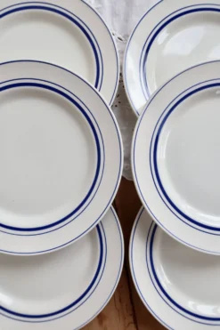6 assiettes plates vintage style bistrot porcelaine bleue et blanche