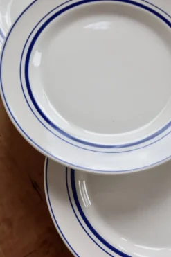 6 assiettes plates vintage style bistrot porcelaine bleue et blanche