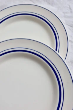 6 assiettes plates vintage style bistrot porcelaine bleue et blanche