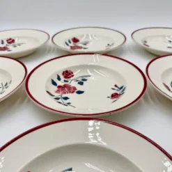 9 assiettes à soupe Badonviller modèle