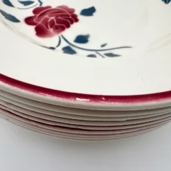 9 assiettes à soupe Badonviller modèle