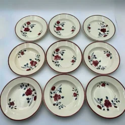 9 assiettes à soupe Badonviller modèle