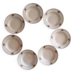 Assiettes à soupe faïence de Gien