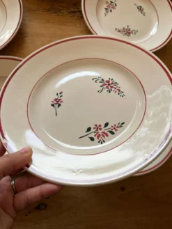 6 assiettes vintage