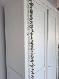 Authentique armoire parisienne