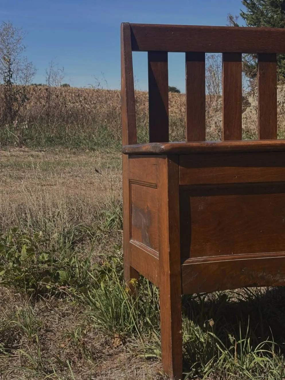 Banc coffre en bois massif