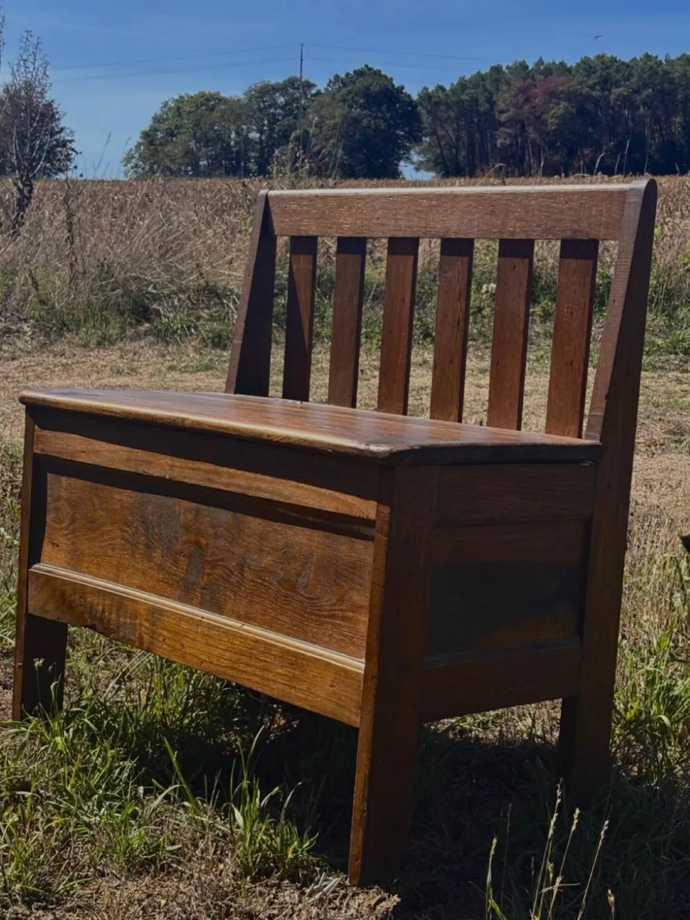 Banc coffre en bois massif