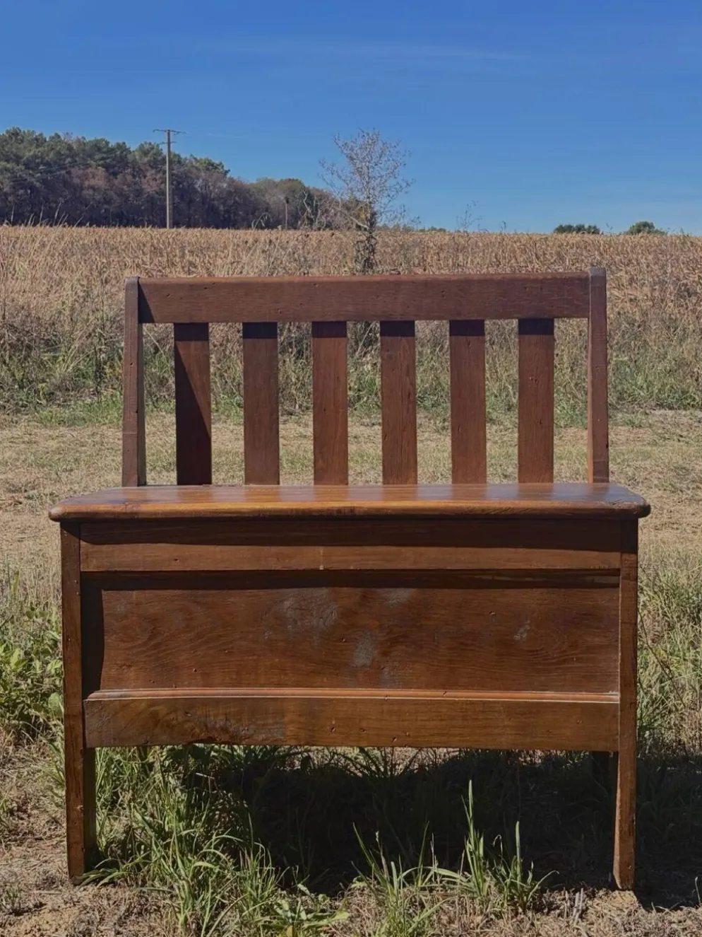 Banc coffre en bois massif