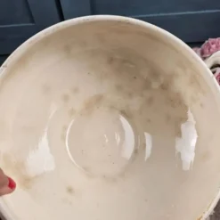 Bas de soupière ancien Lutèce Longchamp, Terre de fer crème décor vert