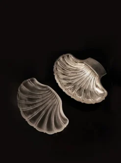 Beurrier coquillage