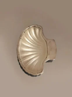 Beurrier coquillage