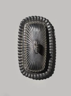 Beurrier coquillage