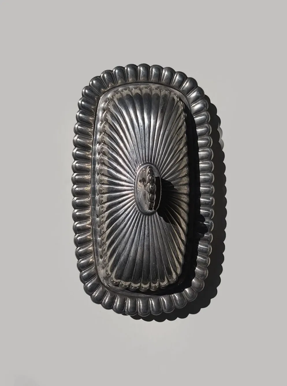 Beurrier coquillage