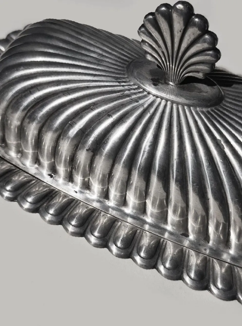 Beurrier coquillage