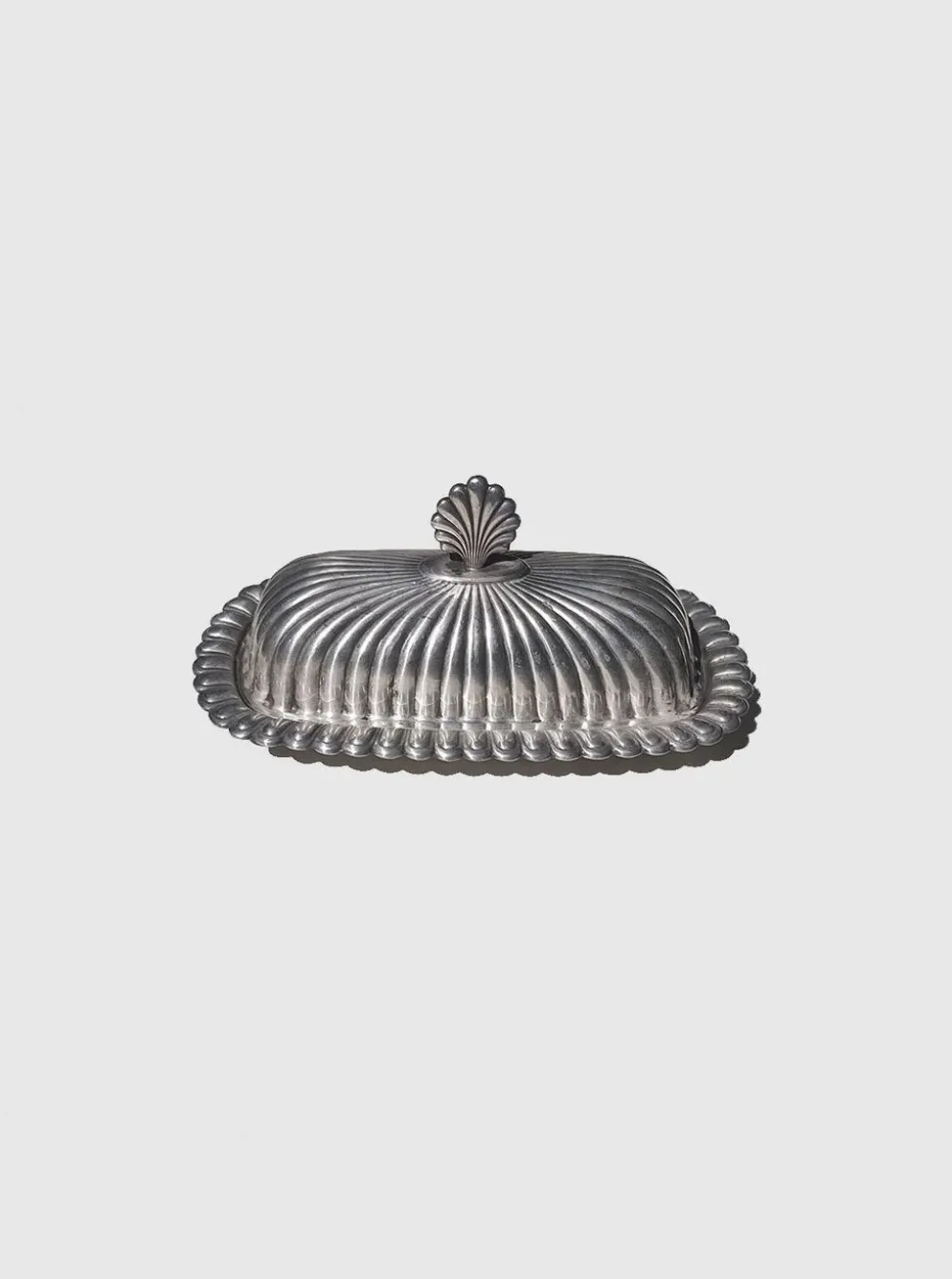Beurrier coquillage
