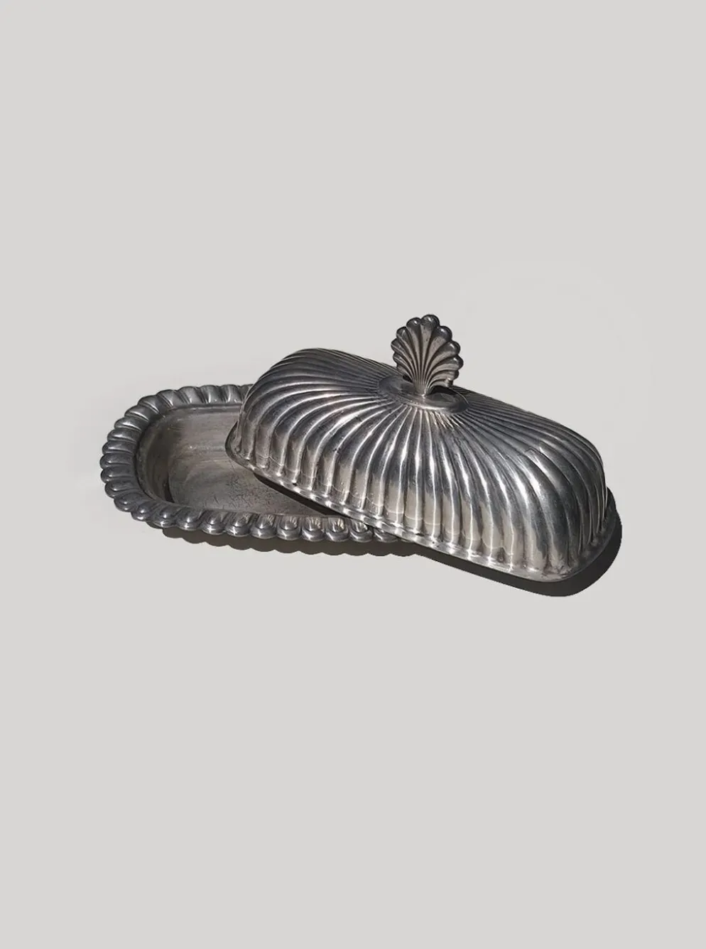 Beurrier coquillage