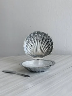 Beurrier coquillage