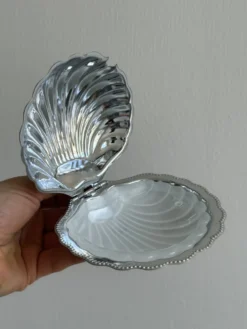 Beurrier coquillage