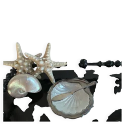 Beurrier coquillage et son couteau en métal argenté