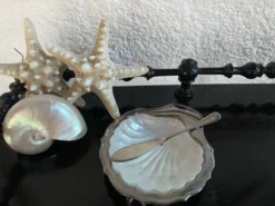 Beurrier coquillage et son couteau en métal argenté