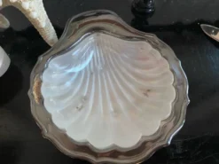 Beurrier coquillage et son couteau en métal argenté