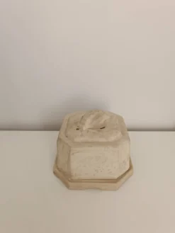 Beurrier à eau friga lux