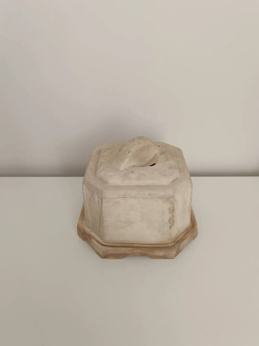 Beurrier à eau friga lux