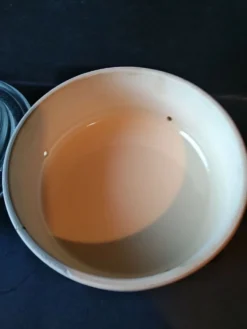 Beurrier frigibeur SGDG ESF année 60/70